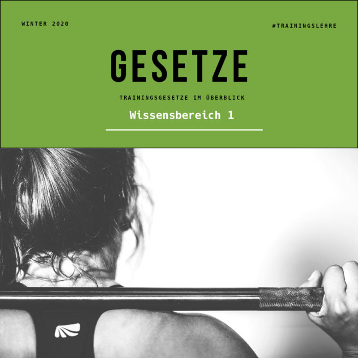 Gesetze Trainingsgesetze Im Berblick Icecube Sports